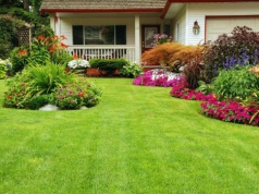 Zadbaj o to właśnie teraz. Twój trawnik będzie wyglądał jak z obrazka