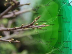 Nadciąga fala ciepła. Wiadomo, kiedy wiosna rozgości się na dobre