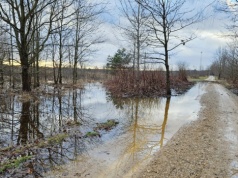 Lada moment poczujemy wiosnę, ale trzeba uważać. 