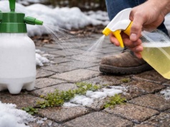 Kilka psiknięć i zapomnisz o chwastach na cały sezon. Zrób to teraz