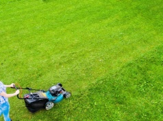 Jak zreanimować trawnik po zimie? Wystarczy kilka prostych trików