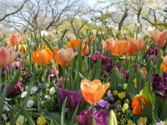 Długoterminowa prognoza dla Polski. Tak ciepło dawno nie było. Nowa analiza