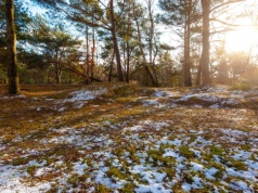 Poniedziałek z dużym ociepleniem, ale to nie koniec zimy. Niż przyniesie śnieg, gołoledź i wiatr