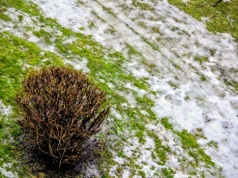 Odwilż i opady nad Polską. Miejscami gołoledź, możliwe burze i gwałtowne wzrosty stanów wód