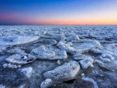Lodowe drzewo na plaży. Atrakcje nad polskim morzem przyciągają nawet gwiazdy