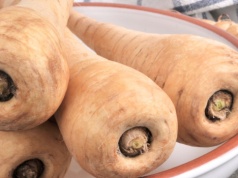 Zapomnieliśmy o nim na 200 lat. Lepszy od pietruszki, ma mnóstwo błonnika i zrobisz z niego nawet frytki