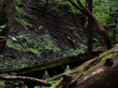 Turnicki Park Narodowy – park, o którym lepiej nie mówić