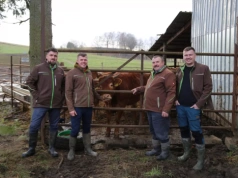 Rolnicy z zachodniopomorskiego sprzedają odsadki na pniu. Jaka jest strategia Kucharskich?