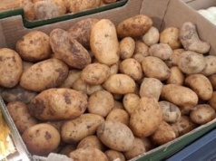 Bosacka pokazała zdjęcie z zakupów. Wielu Polaków nabiera się na takie ziemniaki