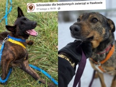 Gmina Sońsk wprowadza 