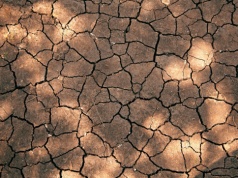 Cypr dotknięty przez rekordową suszę. „Najgorsza od ponad stu lat”