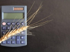 23.02.2026 Ceny skupu zbóż, kukurydzy, oleistych i strączkowych: stawki utknęły na niskim poziomie