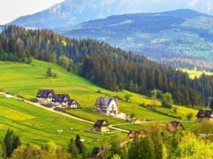 Pierwsze zwiastuny wiosny. Rozpoznasz je wszystkie