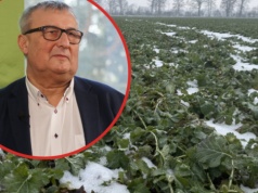 Prof. Potarzycki: Zbilansowane nawożenie – klucz do regeneracji roślin po zimie oraz budowania plonu i jego jakości