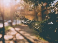 Pogoda na wtorek | Dalsza odwilż, wiosna już blisko?