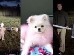 Friz z TRZYLETNIĄ CÓRKĄ i różową farbą straszy dziki przed domem. Was też przestało już to bawić?