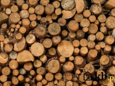 Myślisz, że każde drewno grzeje tak samo? Porównaliśmy rzeczywiste dane