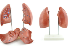 Koklusz – groźna choroba zakaźna układu oddechowego