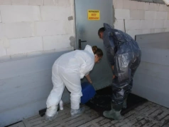 Produkcja zwierzęca pod presją chorób zakaźnych. Czy bioasekuracja zatrzyma ASF i grypę ptaków?