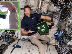 Polscy naukowcy odkryli coś dziwnego w glonach po powrocie z ISS