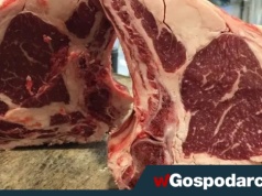 Skażone brazylijskie mięso: UE wstrzyma import?