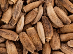 Potężne wsparcie dla wątroby. Badania potwierdzają: może cofać stłuszczenie