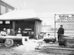 Z lasu w świat i z powrotem. 100 lat paradoksów firmy Stihl