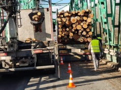 Kłody drewna spadły z ciężarówki i uszkodziły most. Groźne zdarzenie na DK77