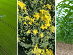 Nowości ProAgri 2026: łatwiejsza i skuteczniejsza ochrona