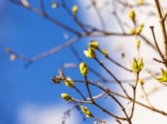 Wiosna na horyzoncie. To zasługa potężnego antycyklonu