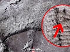 Naukowcy odkryli najstarszy odcisk skóry gada. Uwagę zwraca jeden szczegół