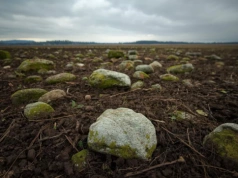 Ile wsparcia za hektar na usunięcie kamieni? Rolnicy mogą jeszcze zdążyć z wnioskiem