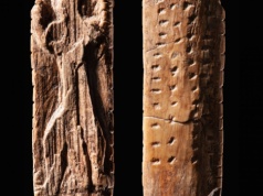 Czym były znaki na figurkach sprzed 40 tysięcy lat?