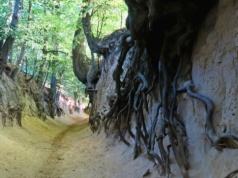 Jedyna taka kraina w Polsce i Europie. Nie spotkasz tam tłumów turystów