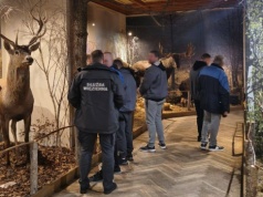 Osadzeni oko w oko z żubrem i łosiem. Tak więźniowie z Kikit uczą się odpowiedzialności