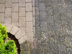 Zamiast do szklanki, wylej przed domem. Po plamach nie będzie śladu