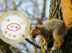 Uderzenie wiosny. Różnica temperatur będzie znaczna