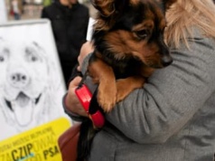Będzie obowiązek czipowania zwierząt? Rząd przyjął KROPiK