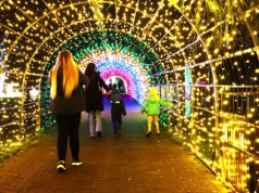 Zostało niewiele czasu. Ta atrakcja w Krakowie działa już tylko do końca lutego