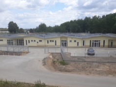 Psi problem w Grudziądzu. Radny obawia się zagranicznych adopcji, MZK odpiera zarzuty