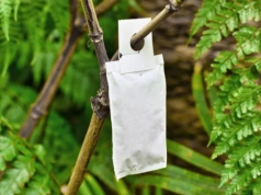 Kupujesz dobroczynka? Nie trzymaj go w mieszkaniu. Ten błąd niszczy całą ochronę drzew