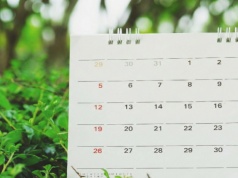 Ledzień, łżykwiat i stojaczka, czyli o etymologii nazw polskich miesięcy