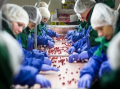 Rośnie bezrobocie i strach przed zwolnieniem. Coś wisi w powietrzu