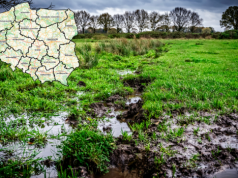 Rządowy plan odbudowy mokradeł. Szansa na dopłaty czy nowe restrykcje dla rolników?