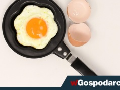 Białko czy żółto jaja - czy unikanie żółtka ma sens?