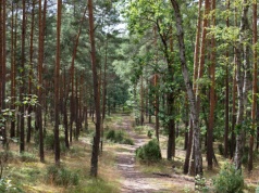 Kaarzyna Batko-Tołć: Przyjdzie kara na greenwashing i fact-checking washing?