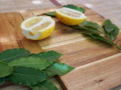 Zostawiłam w sypialni cytrynę z liśćmi laurowymi. Rano sobie podziękowałam