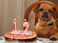 Rekordzista żył 23 lata. "Nie widział, nie słyszał i nie miał zębów, ale nieźle sobie radził"