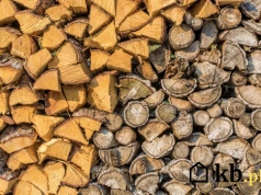 Te gatunki drewna tracą moc grzewczą już po kilku latach. Nie trzymaj ich za długo