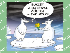 Arktyka zagrożona inwazją. Zadomowi się tam ponad 2 tys. nowych gatunków roślin